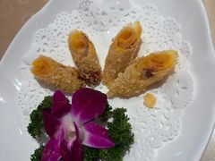 -百年银屏·蚝烙专门店(乐山店)