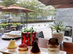 -COVA(平安金融中心店)