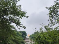 -苏州上方山国家森林公园