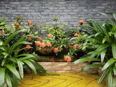 -江门古劳水乡旅游区
