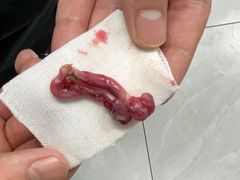 -达爱动物医院·犬猫分区·CT·复杂眼科(远洋山水分院)