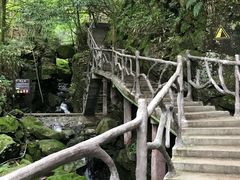 -藏龙百瀑风景区