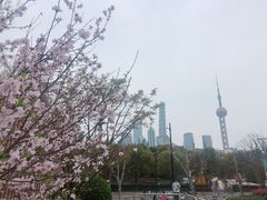 -北外滩滨江绿地