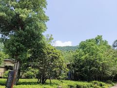 -杭州开元森泊度假乐园