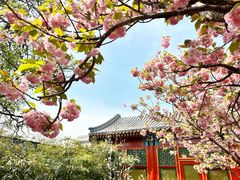 -北京颐和宾馆