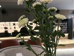 -碧涛阁水世界酒店·洗浴·自助(万家丽路店)