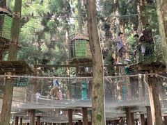 -武陵山森林公园