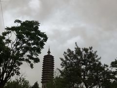 -西海子公园
