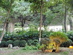 -大妙火锅·非物质文化遗产(东湖公园店)