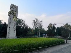 -北坞公园