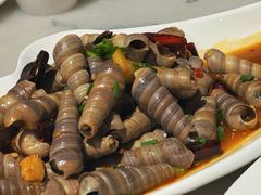 -华盛丰温州大排档(东三环南路店)