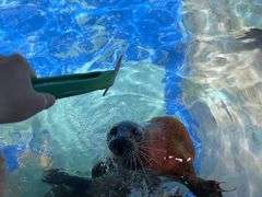 -太平洋海底世界