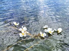 -丽江泸沽湖景区