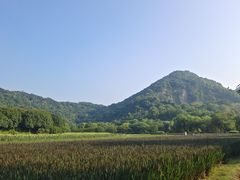 -八卦田遗址公园