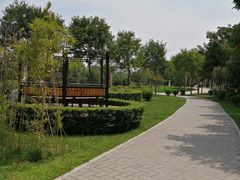 -唐城墙遗址公园