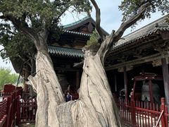 -晋祠公园