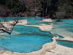 -黄龙山原始森林景区