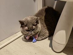 -一墨照相馆·证件照·形象照(世博店)