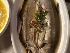 清蒸太湖白鱼-乾园(天河城店)