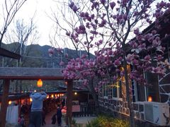 iphone_upload_pic-北京水岸山吧度假村(雁栖镇店)