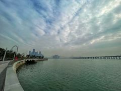 -宝安西湾红树林湿地公园