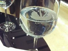-BLACKSWAN黑天鹅(环球店)