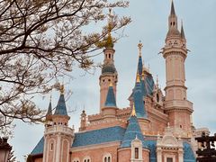 -上海迪士尼度假区