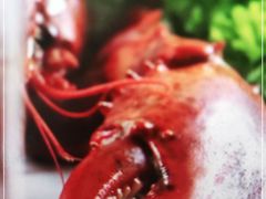 -富力威斯汀酒店·知味自助餐厅