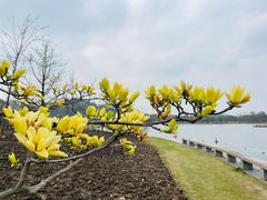-上海辰山植物园