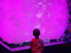 -沈阳海洋探索中心