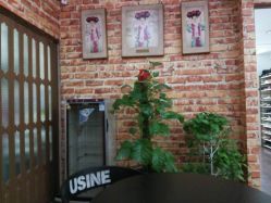 -小苹果儿童摄影(崇安店)