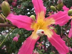 iphone_upload_pic-广州大学(桂花岗校区)