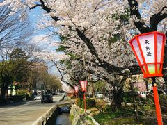 -金泽21世纪美术馆