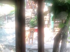 -北京水岸山吧度假村(雁栖镇店)