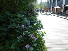 -Luneurs(幸福里店)