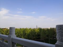 -金城公园