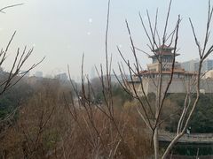 -教师之家赵家羊汤馆(东青龙街店)