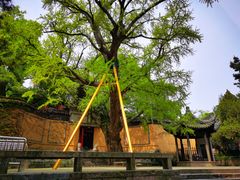 -无锡惠山寺