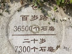 -千年银杏谷文化旅游区