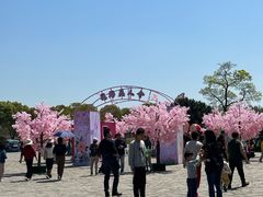 -苏州太湖国家湿地公园