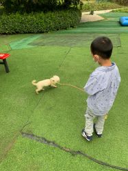 -萌宠亲子动物乐园(槐房万达店)