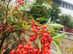 -齐汇维景大酒店游泳馆(山东政协大厦齐汇维景)