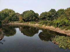 -长广溪湿地公园