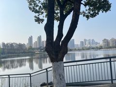 -武汉动物园