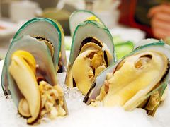 青口贝-渝利重庆火锅