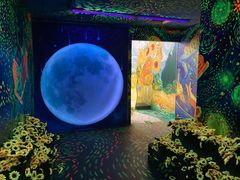 -梵高星空艺术馆(北京旗舰店)