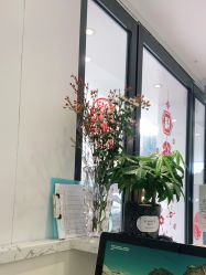 -木北造型