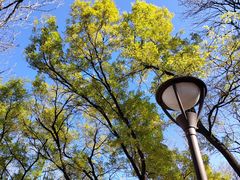 -元大都城垣遗址公园