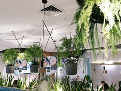 -三个椰子·现砍椰子鸡(金源CBD店)