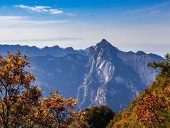 -牛背梁国家森林公园